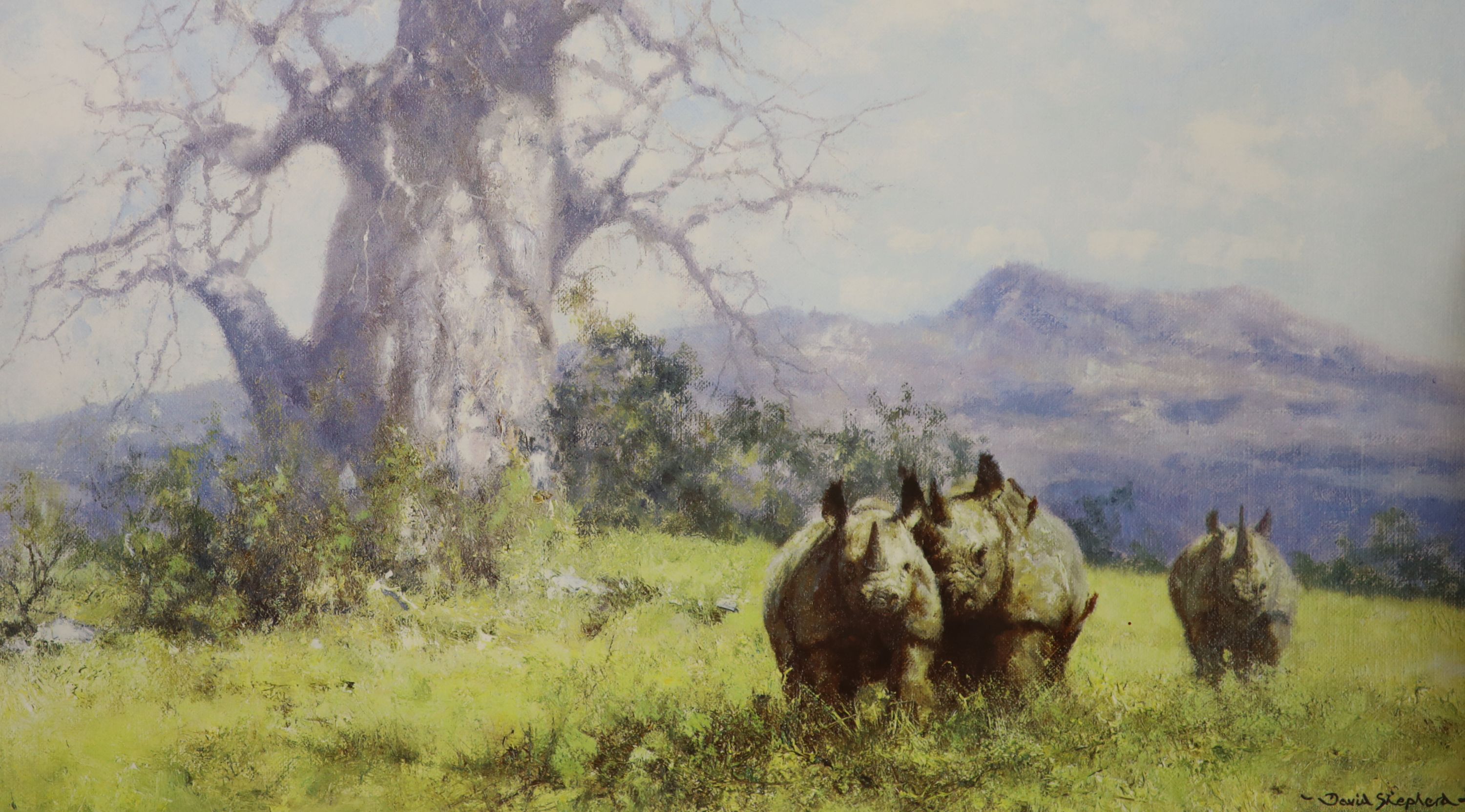Three David Shepherd limited edition prints; Lion Sketch, Tiger Sketch and Rhino Reverie, signed in pencil and numbered, largest 29 x 44cm